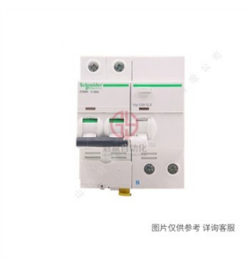 施耐德小型斷路器-Acti9-iC65N-2P-C10A空氣開關-A9F18210斷路器