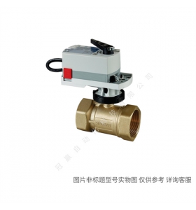 Siemens/西門子樓宇自動化 BPZ:VXG44.15-0.25 外螺紋連接三通調節閥