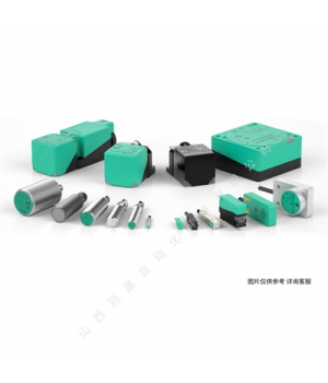 倍加福-工業傳感器編碼器-REF-H50