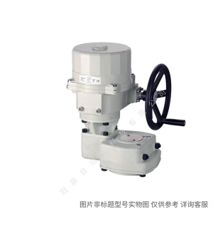 Siemens/西門子樓宇自動化 BPZ:ASK50 SK…32/82/62...執(zhí)行器附件—動作反向器