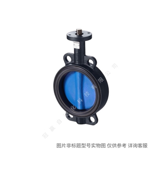 Siemens/西門子樓宇自動(dòng)化 BPZ:Z155/50 電磁閥B端口盲板DN50
