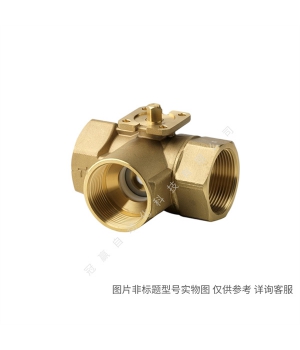Siemens/西門子樓宇自動化 BPZ:Z155/20F 電磁閥B端口盲板DN20