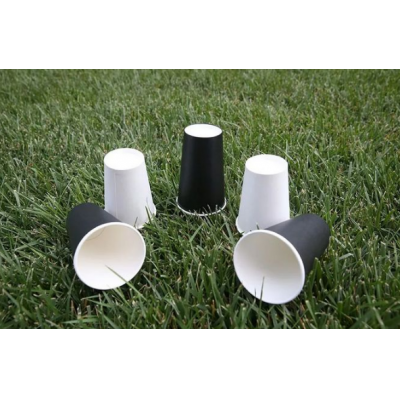 太陽紙業(yè)成功研發(fā)出“無塑涂布食品包裝用紙”