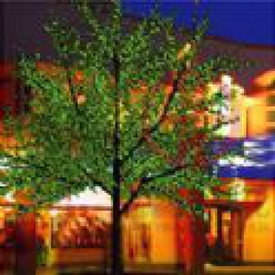 led樹燈,什么是led樹燈,LED樹燈價格說明,LED樹燈的材質(zhì)介紹