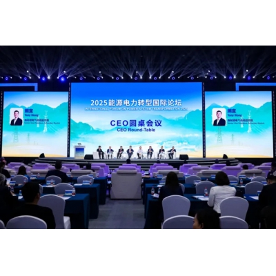 施耐德電氣出席2025能源電力轉型國際論壇